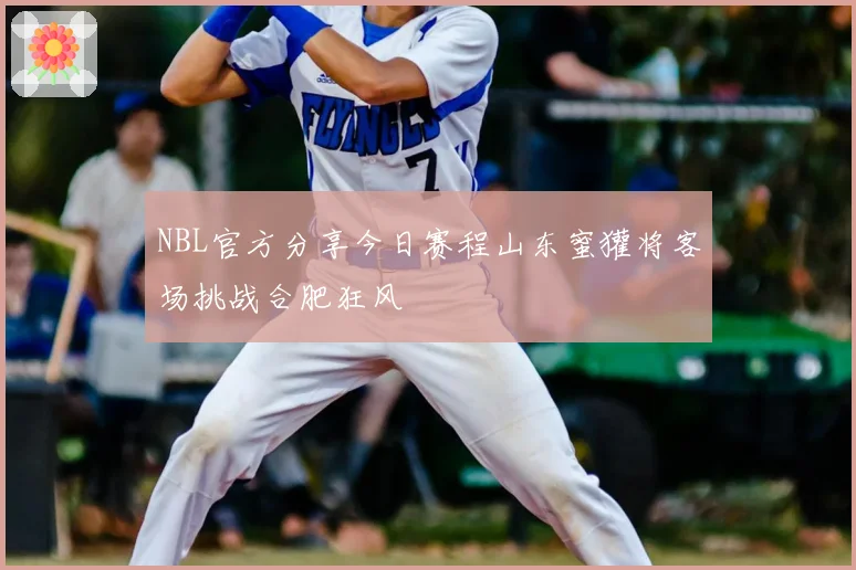 NBL官方分享今日赛程山东蜜獾将客场挑战合肥狂风