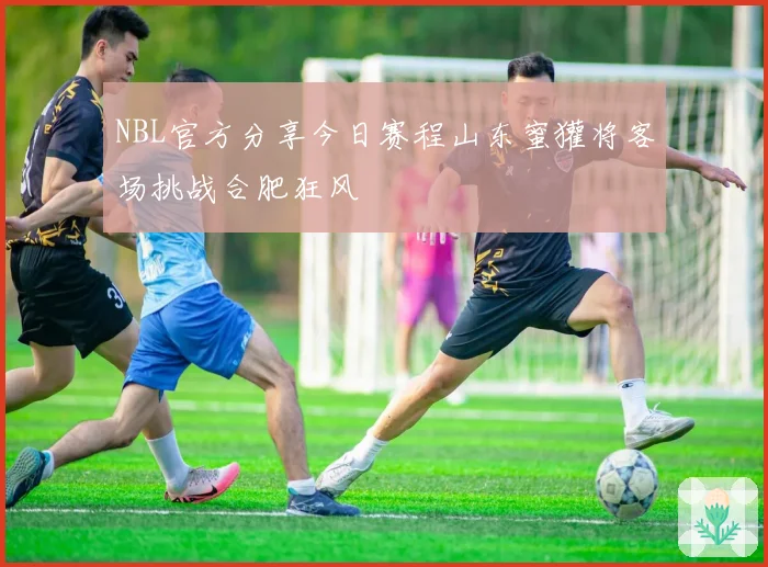 NBL官方分享今日赛程山东蜜獾将客场挑战合肥狂风